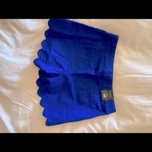 Women’s J crew royal blue shorts 00